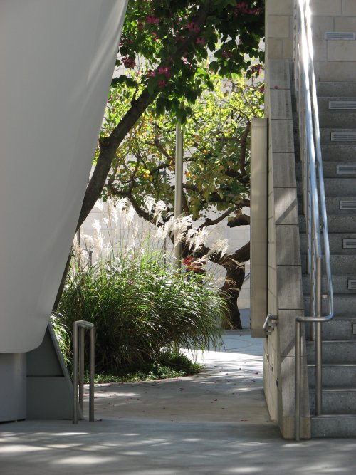 Walt Disney Concert Hall garden